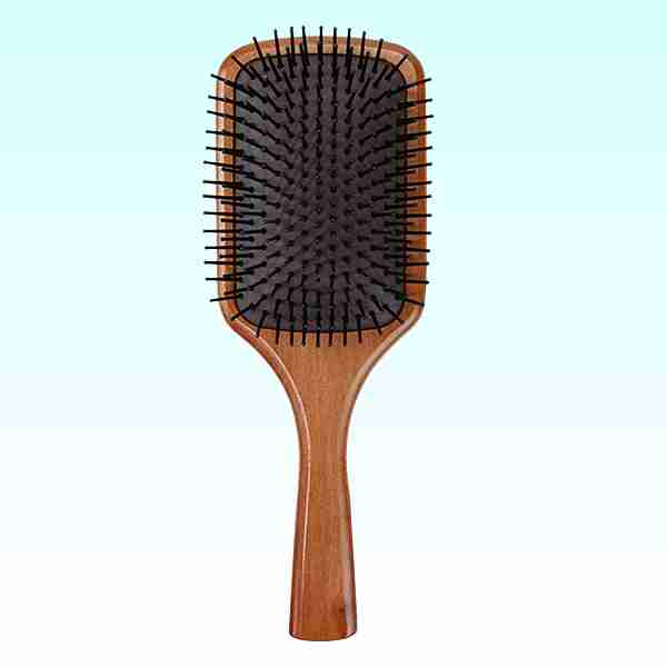 Professional Hair Brushes